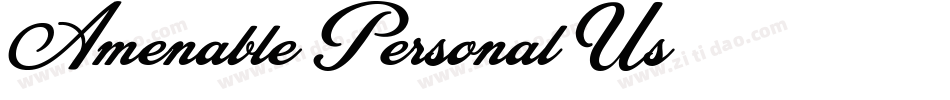 Amenable Personal Us字体转换